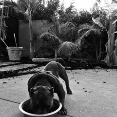 Dirty Mackin (Prod By Westhood)