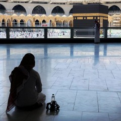 خُذُوهُ فَاعْتِلُوهُ إِلَىٰ سَوَاءِ الْجَحِيمِ | العفاسي