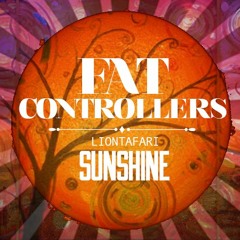 Sunshine - Fat Controllers - Lion Tafari