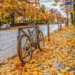 Autumn Bike Ride