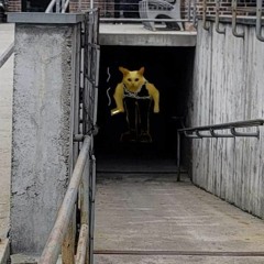 i walked into a basement and this is (sort of) what i heard