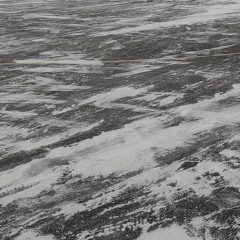 freddo + grez tierreuno