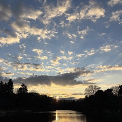 Peterparker69 いすゞ CM曲