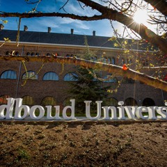 Private and Professional: Where is the Line? | Bert van den Brink and  Klaas Landsman