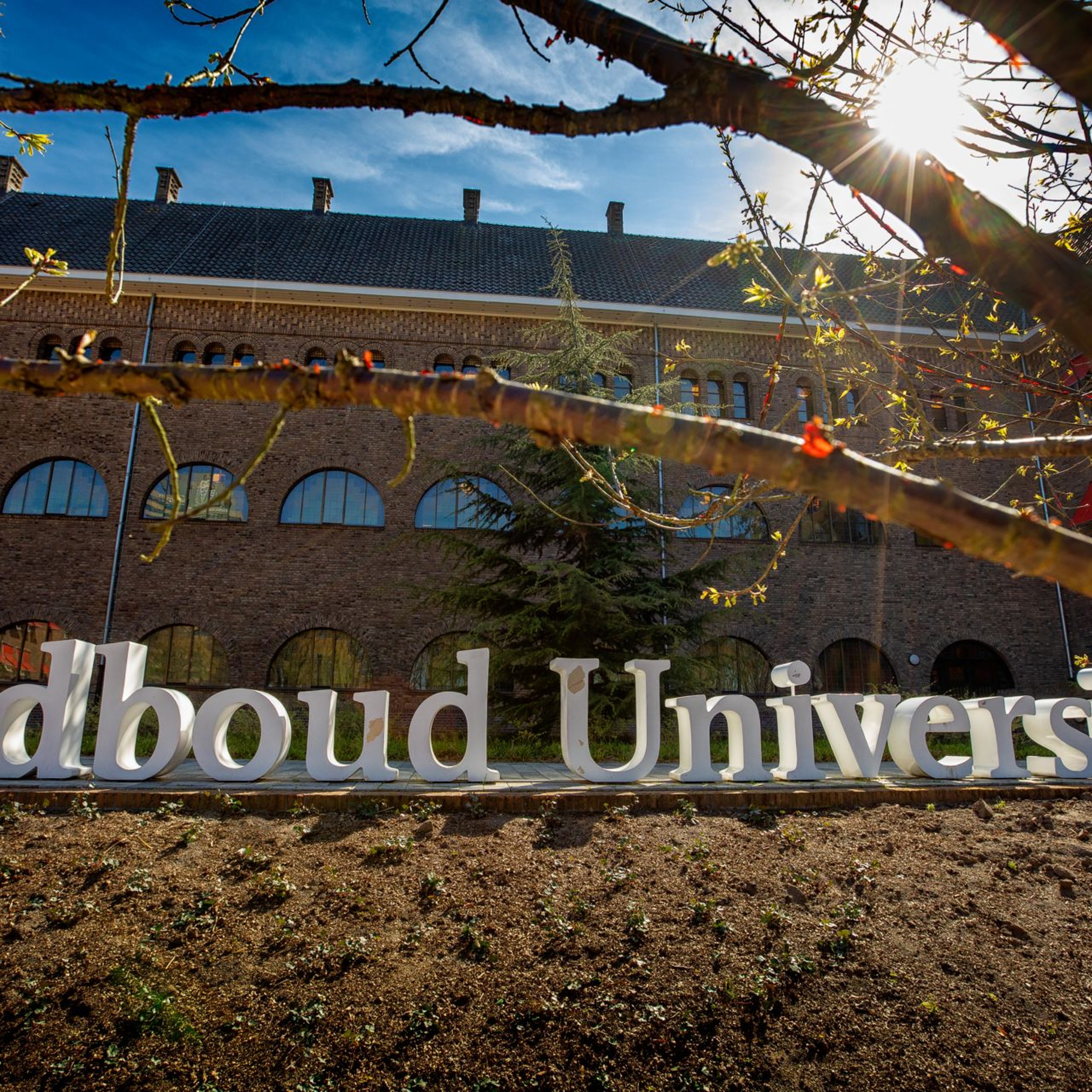 Private and Professional: Where is the Line? | Bert van den Brink and  Klaas Landsman