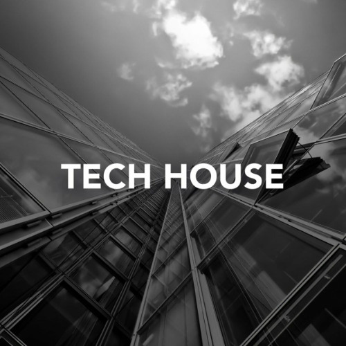 Tech House Set 040725