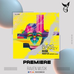 PREMIERE: Audio Monkey - Rise (PNDMC Remix) [BluFin Recordings]