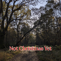 Not Christmas Yet (Waiting for Christmas)