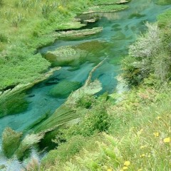 heaven or las vegas midi - cocteau twins