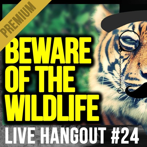 Stream PREVIEW Hangout 24 Are There Big Cats In The UK By stream-preview-hangout-24-are-there-big-cats-in-the-uk-by