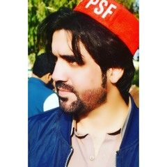 ANP inqalabi song🚩