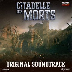 Citadel Des Morts Rounds