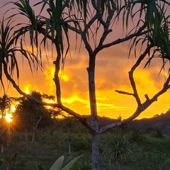 OURENG ER KAU - Perry (Watergate)