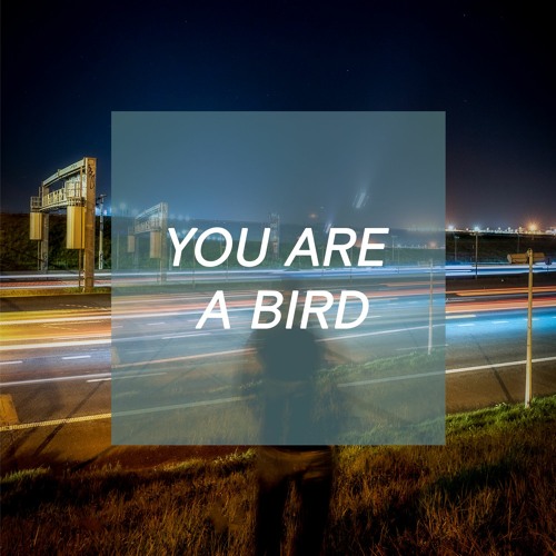 YOU ARE A BIRD