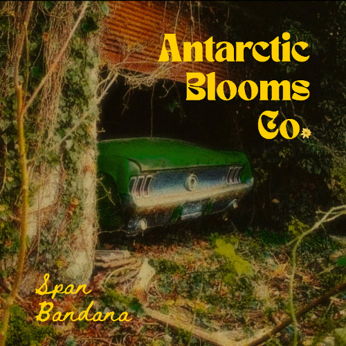 Many Mistakes Made (Inchoate-esque)