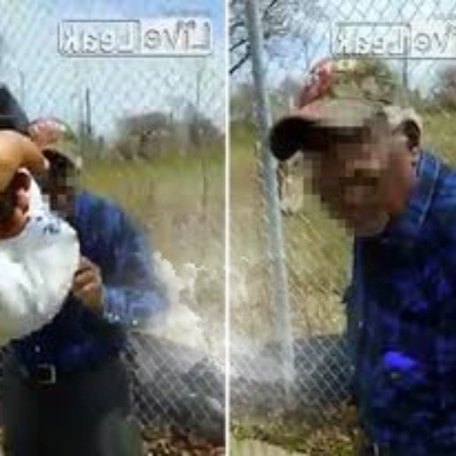 Live New joy lane video steven stephens video robert godwin facebook live joy lane joy lane shooting
