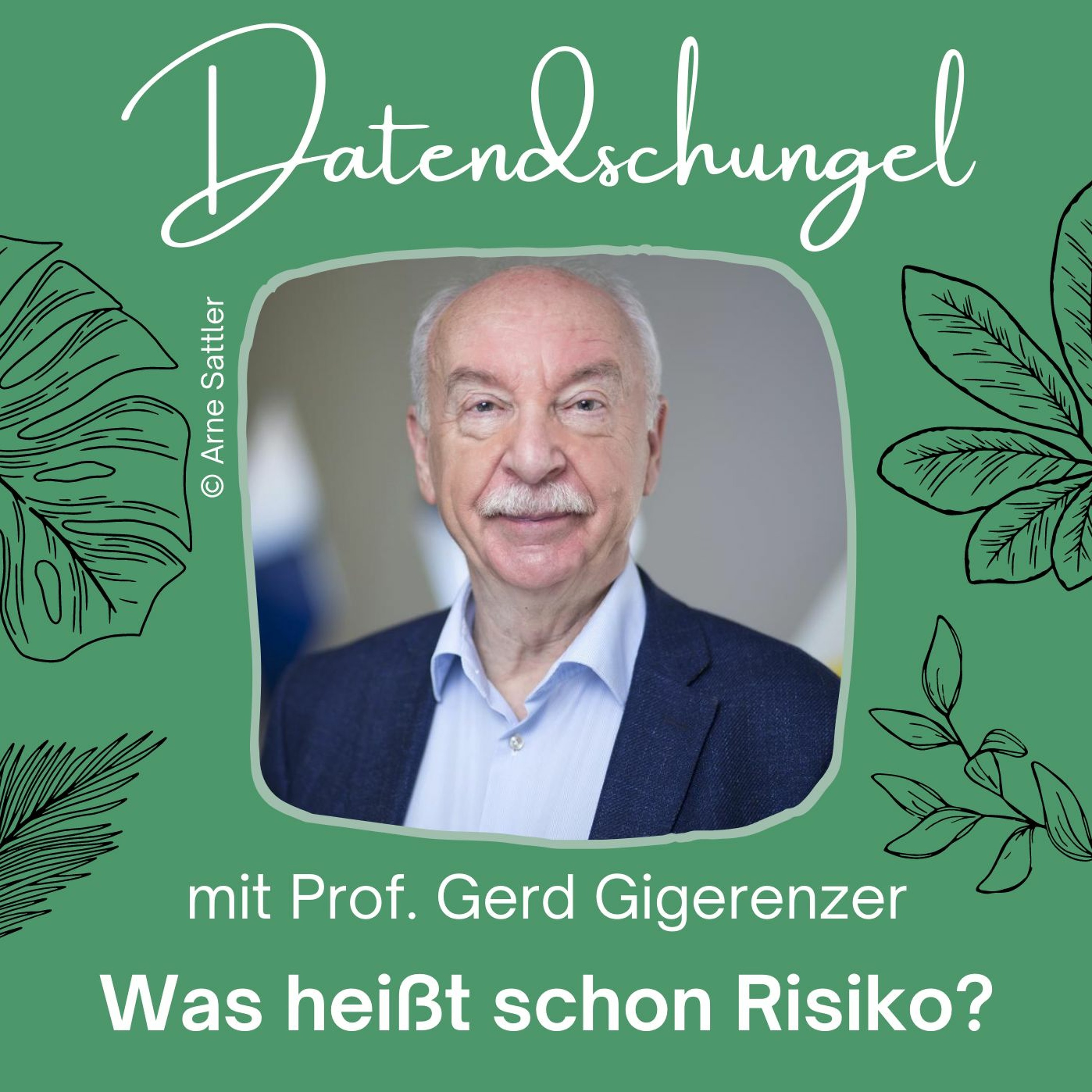 Was heißt schon Risiko? episode artwork