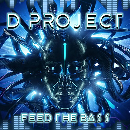 D Project - Feed The Bass