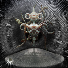 CRUDE Premiere: Temple Rat - Sensitive Chaos