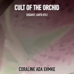 Cult of the Orchid (disquiet0741)