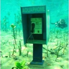 Zain's Aquaphone