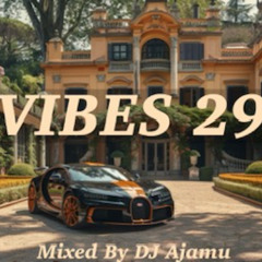 Vibes 29