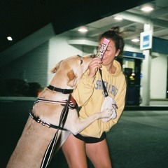 No more family ties in LA (Mashup)