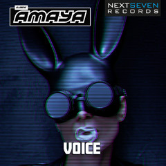 Voice