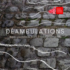 Soirée de lancement de Déambulations - 04/03/2021