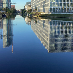 bizzarre - b.1-germanicus_saturatus_v1