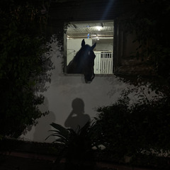 راشد الماجد - مثل قلبك جلسة