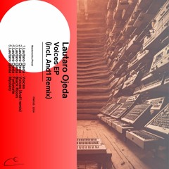Lautaro Ojeda - Voices (And1 Remix) [PNH130] [PREMIERE]