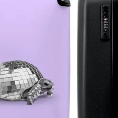 01   Uplifting Disco Sample Mix