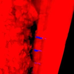 [Co]Ncentia