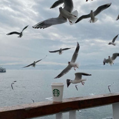 ‎⁨أجاذبك الهوى - طالب المري⁩