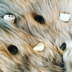 A bird in hand is worth two birds in a bush