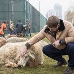 Ты Додыров Пармезан