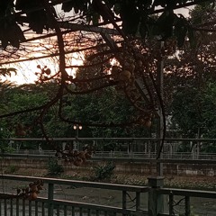 lâu rồi chưa gặp