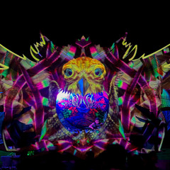 Celestia Festival 27/6/25  Kasol Night To Sunrise