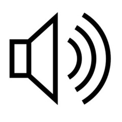 voice calls