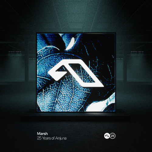 25 Years Of Anjuna Mixed By Marsh