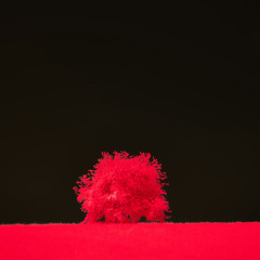 Red Velvet