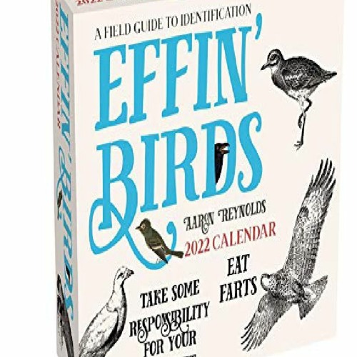 stream-episode-download-effin-birds-2022-day-to-day-calendar-free-acces-by-jaspersoto-podcast