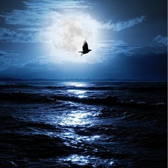 Midnight Morning (original)