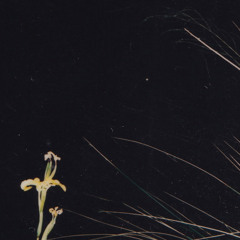 Une histoire fatale (demo 2020 unmixed)