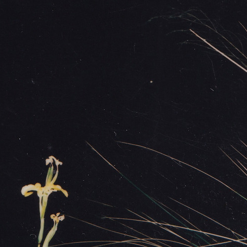 Une histoire fatale (demo 2020 unmixed)