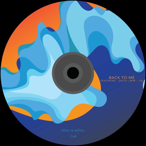 Back To Me(Feat. Skyla) - Sosh & Mosh, ZHR