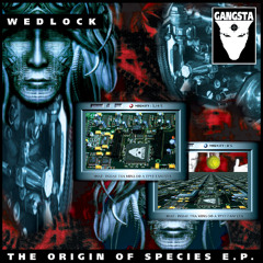 Wedlock - The Genesis!
