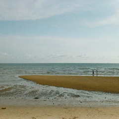 Kita Usahakan Rumah Itu by Sal Priadi (Cover)