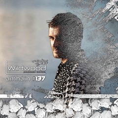 Wildwood podcast series #137 - amháin (IRL)